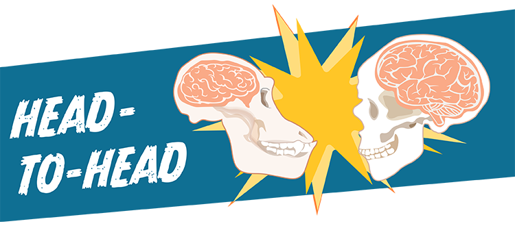 Compare the size if primate brains in this activity!