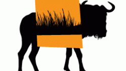 What animal fossils tell us about ancient ecosystems