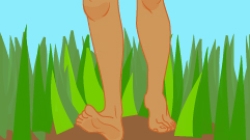 bipedality illustration