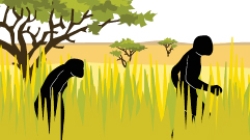 How climate shaped human evolution image