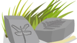 Fossils Rock Featured small image link